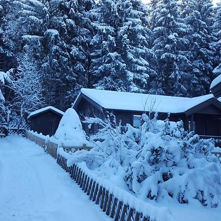 Waldsee-Ferienhaus-Mit-Kamin-W-Lan Клаусталь-Целлерфельд Экстерьер фото