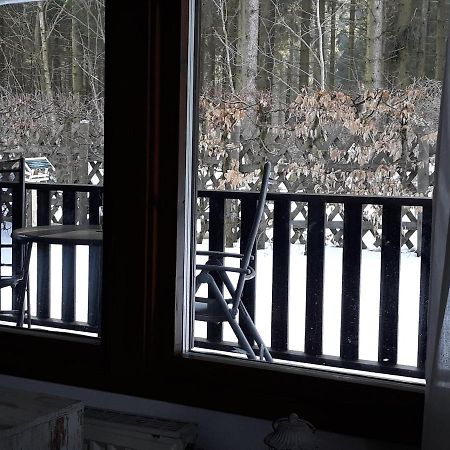 Waldsee-Ferienhaus-Mit-Kamin-W-Lan Клаусталь-Целлерфельд Экстерьер фото