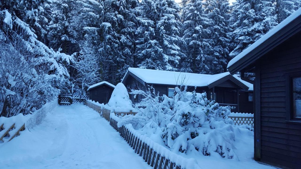 Waldsee-Ferienhaus-Mit-Kamin-W-Lan Клаусталь-Целлерфельд Экстерьер фото