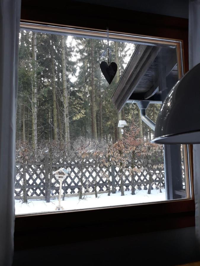 Waldsee-Ferienhaus-Mit-Kamin-W-Lan Клаусталь-Целлерфельд Экстерьер фото